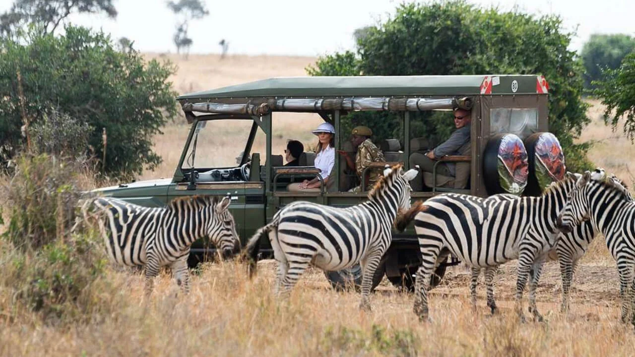 A Quick Safari—15 Minutes from Town!